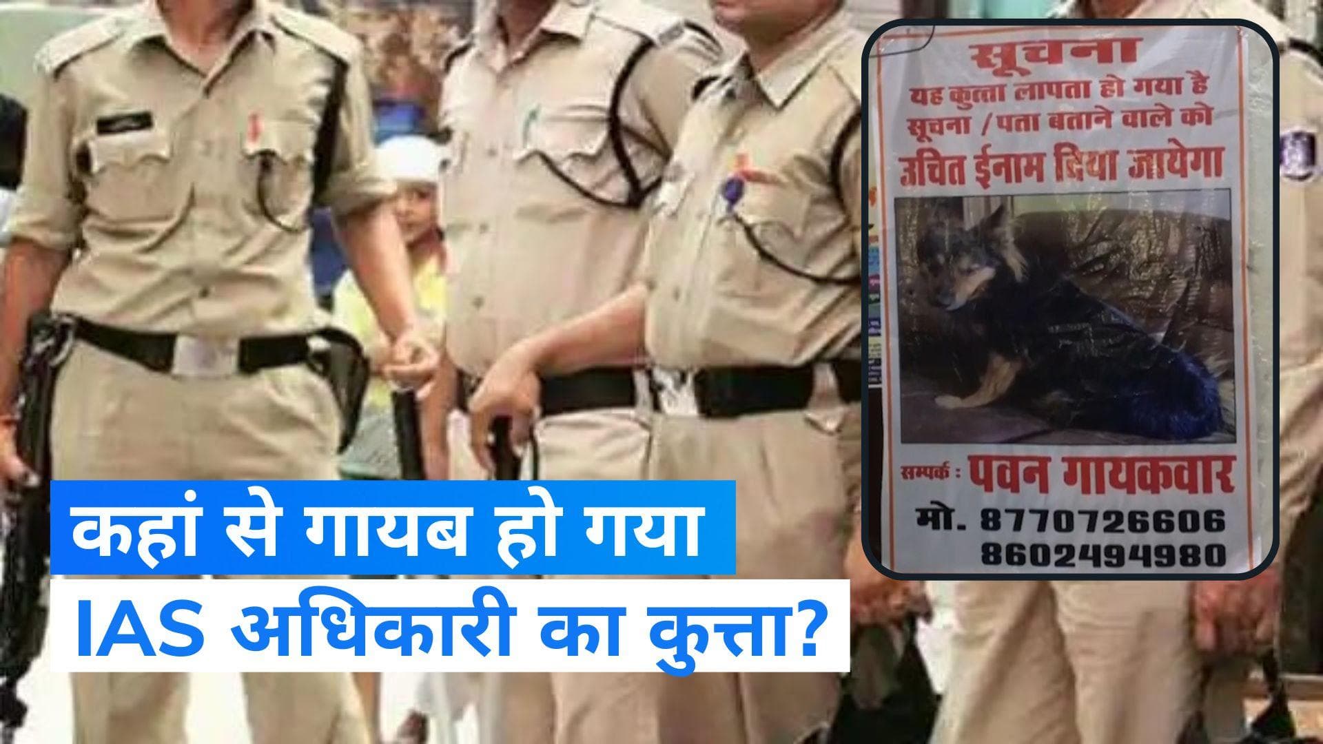 MP News: देखते ही देखते IAS अधिकारी का कुत्ता फरार...! तलाश के लिए चस्पा किए गए पोस्टर