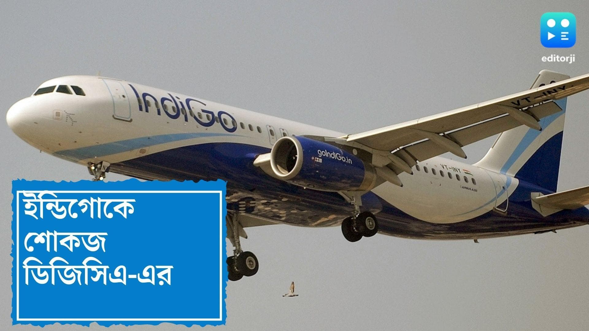 DGCA's show cause notice to Indigo : বিশেষভাবে সক্ষম শিশুকে বিমানে উঠতে বাধা, ইন্ডিগোকে শো-কজ DGCA-র