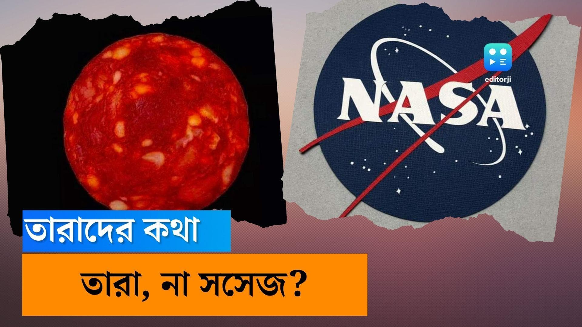 Sausage or new planet? নতুন গ্রহ নয়, ওটা আসলে সসেজের ছবি! ক্ষমা চাইলেন ফরাসি বিজ্ঞানী