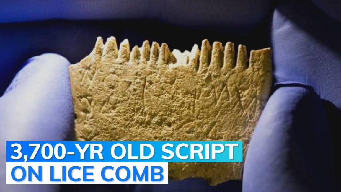 Oldest known sentence inscribed on lice comb. This is where it was found 