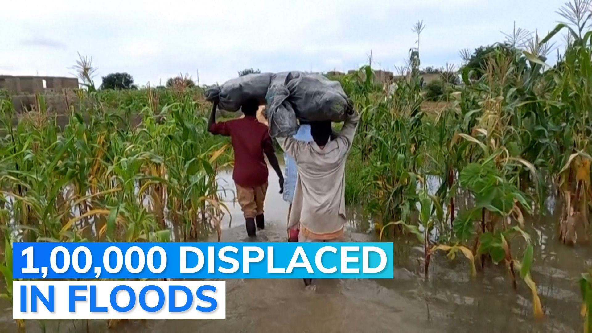 300 dead as Nigeria battles its worst floods in a decade