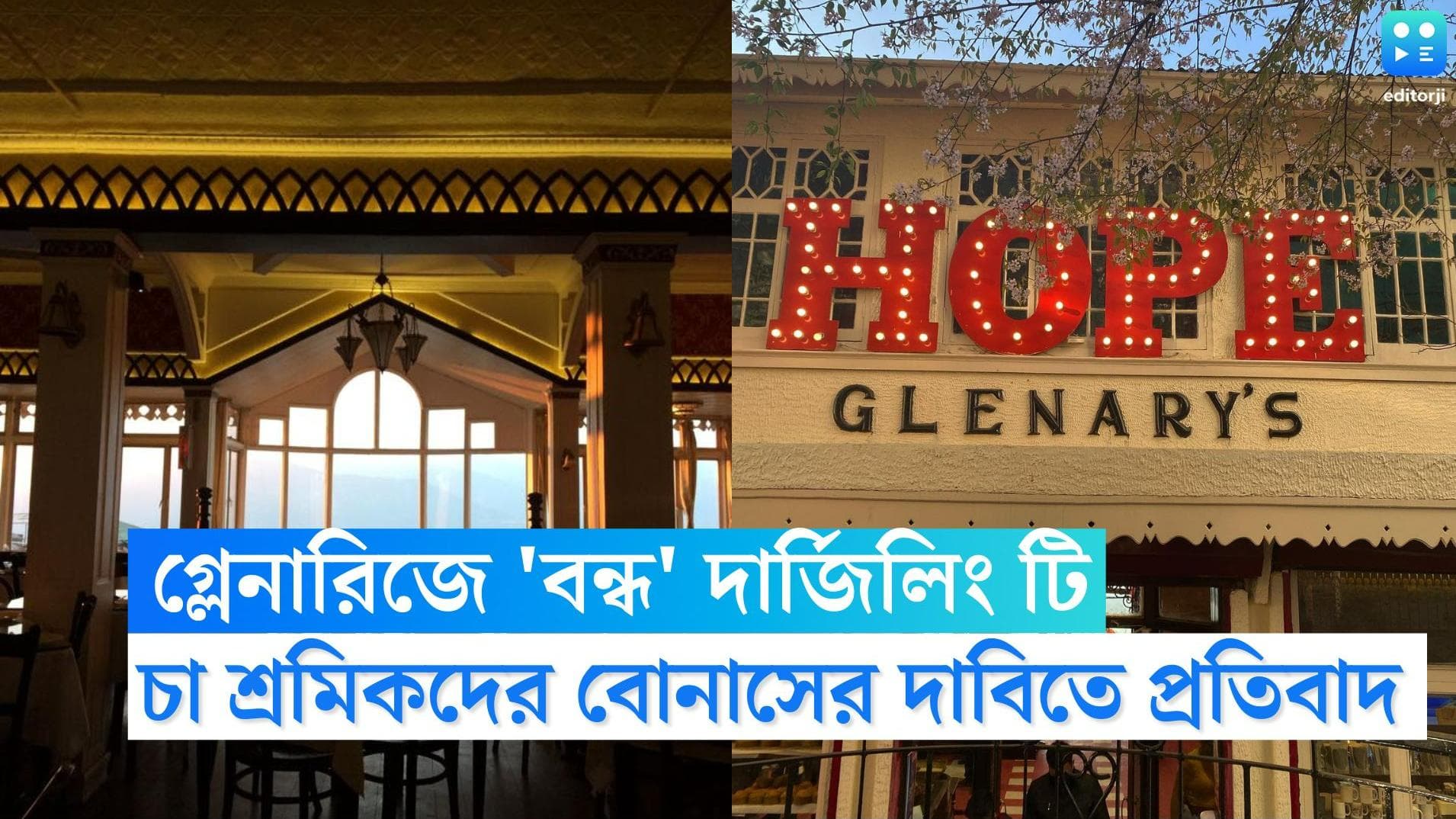 Glenary's Darjeeling Tea: চা শ্রমিকদের বোনাসে জট,১১০ বছরের প্রথা ভেঙে দার্জিলিং চা বিক্রি বন্ধ গ্লেনারিজে