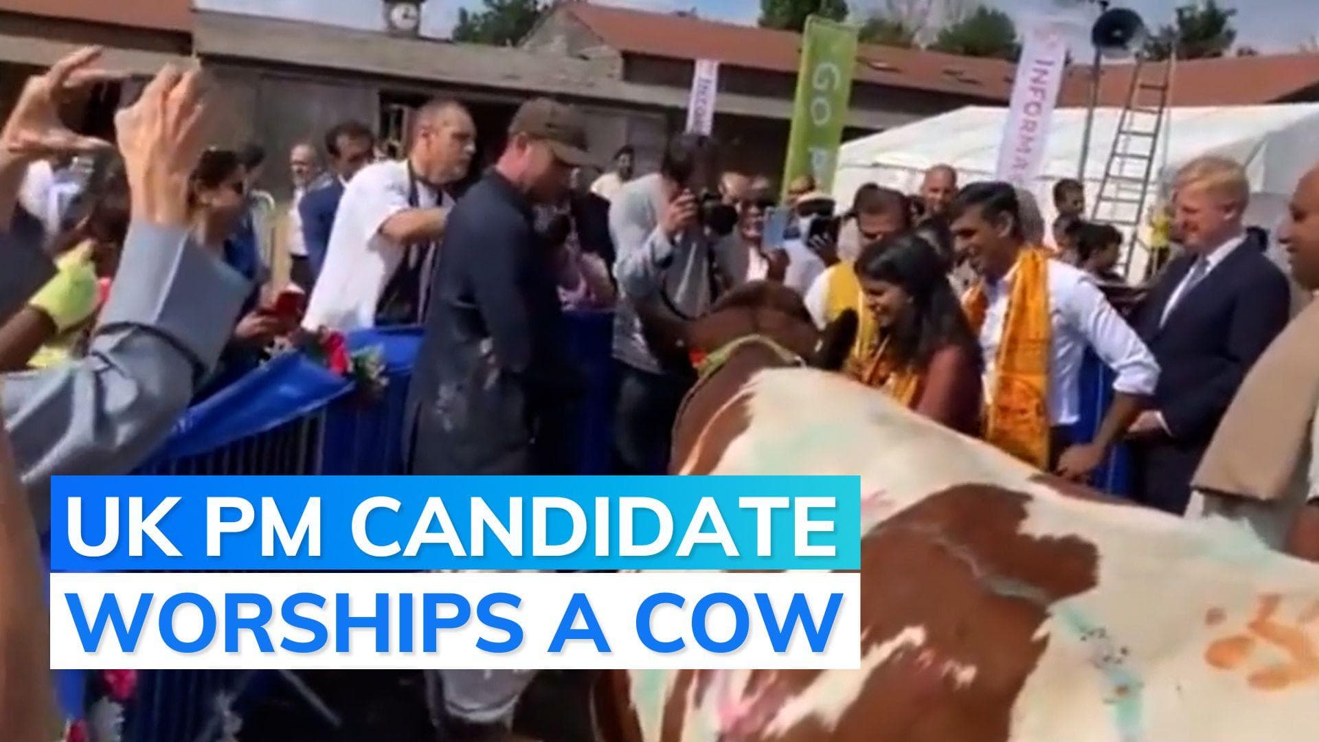 Viral video: Rishi Sunak performs 'Gau Puja' in London amid race for UK PM post
