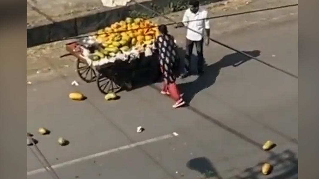 Watch: Woman goes bananas after papaya vendor hit her car. See what she did next