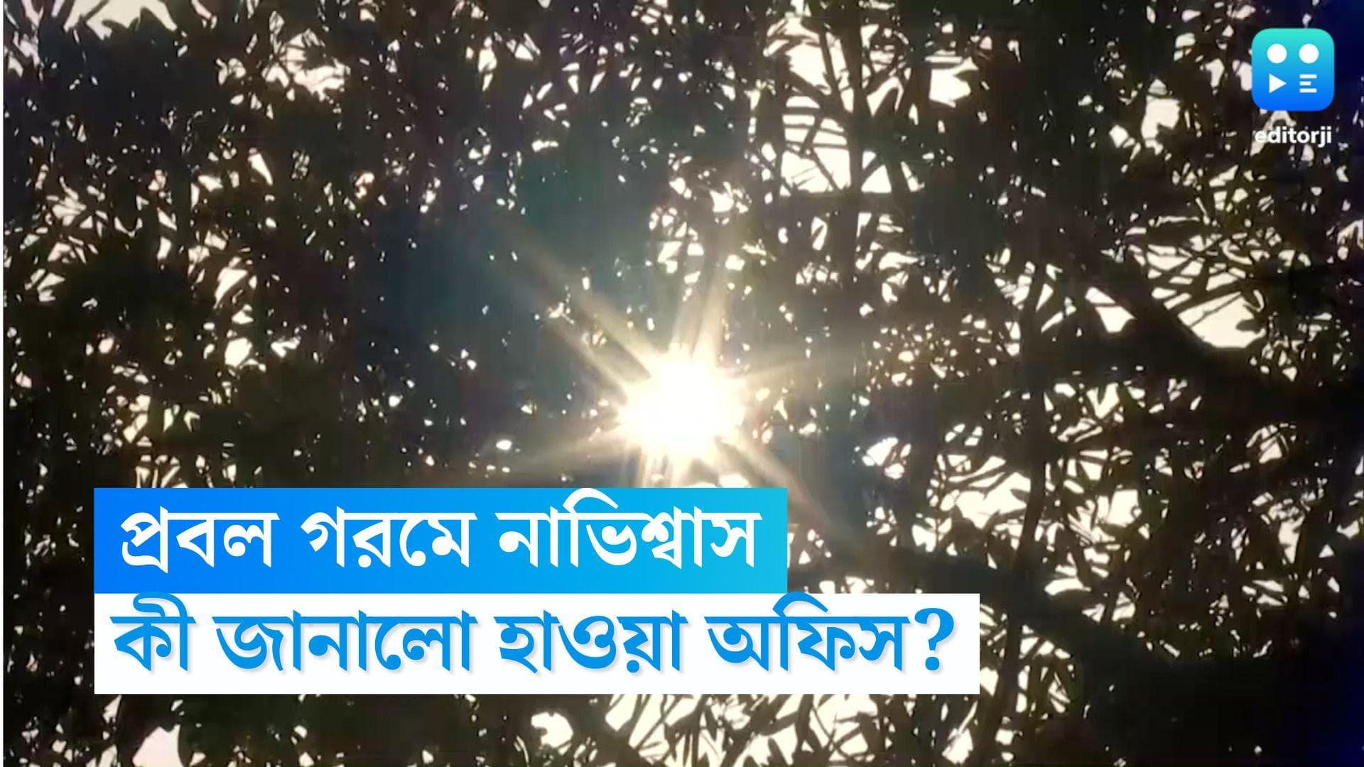 West Bengal Weather Update:  প্রবল গরমে নাভিশ্বাস, আরও বাড়বে পারদ, কী বলছে হাওয়া অফিস?