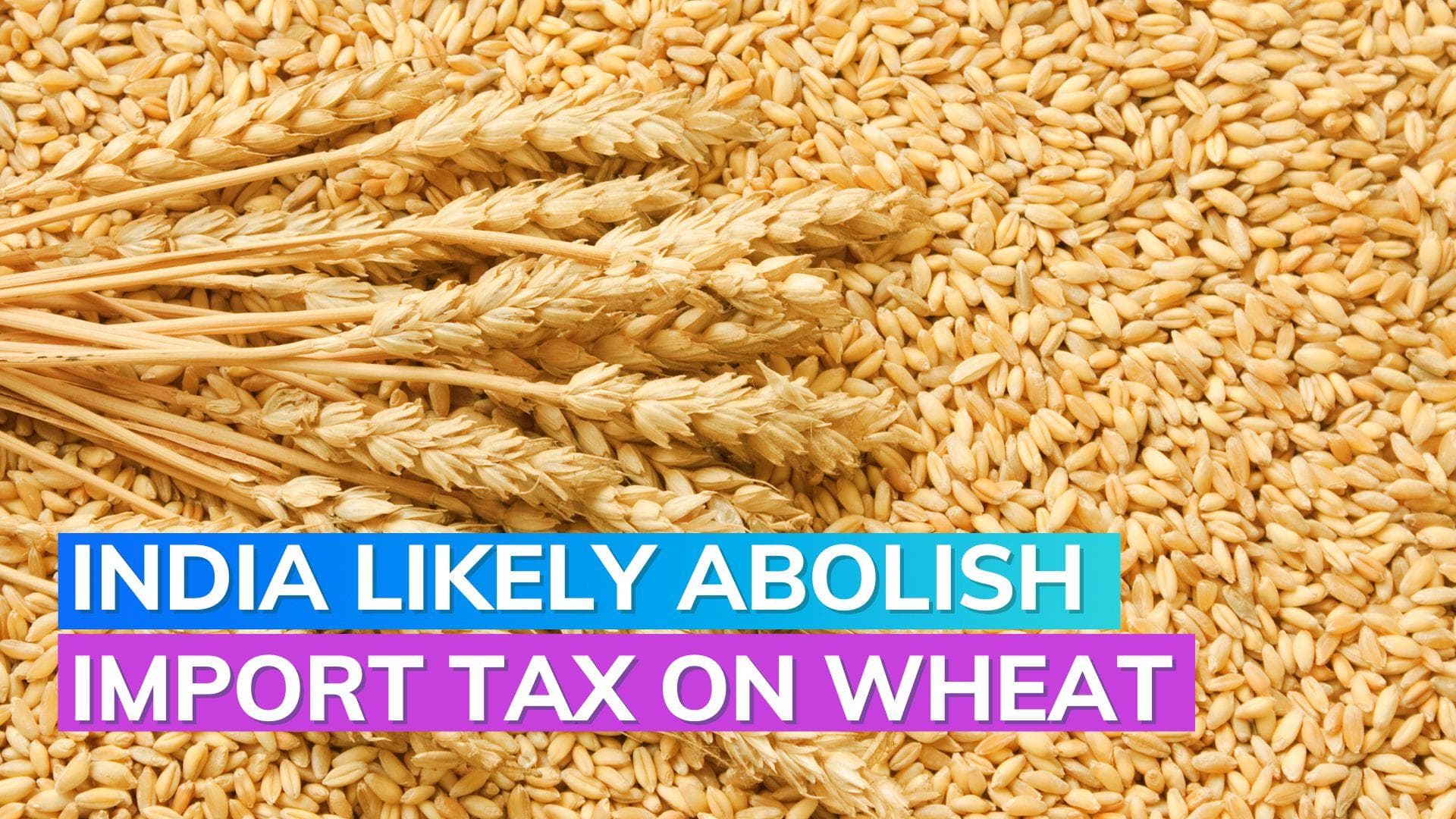 Government considers reducing import duty to stabilize wheat prices