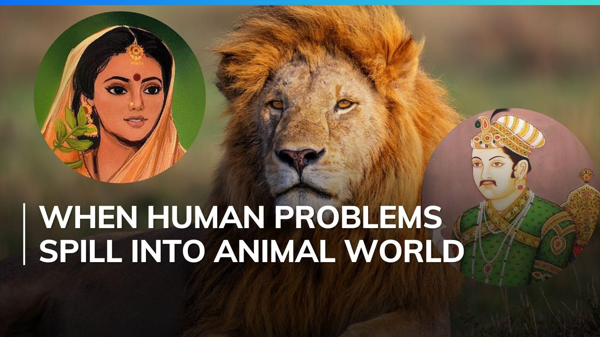 Lions Akbar and Sita in same zoo enclosure, Bengal VHP moves court