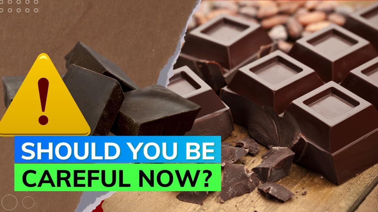 Are dark chocolates bad for your health? Here's what study reveals