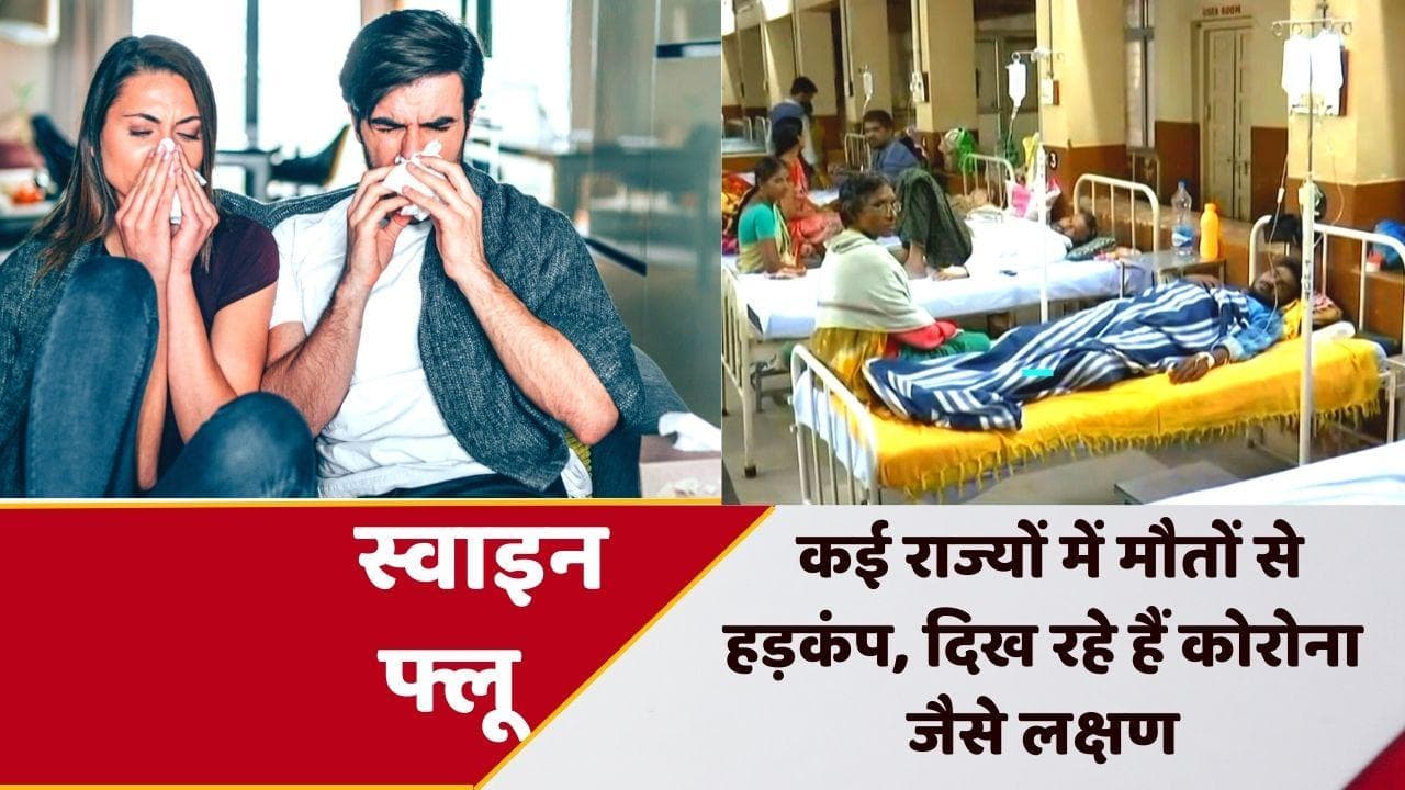 Swine flu outbreak:कोरोना के बाद स्वाइन फ्लू ने मचाया कहर, UP, केरल और राजस्थान में मौतों के बाद हड़कंप