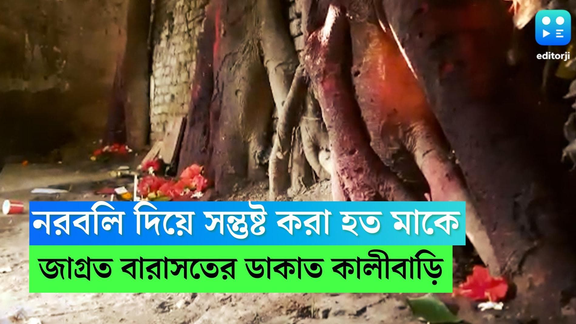 Kali Puja: নরবলি দিয়ে সন্তুষ্ট করা হত মাকে, বারাসতের ডাকাত কালীবাড়ি নিয়ে শোনা যায় অলৌকিক নানা জনশ্রুতি