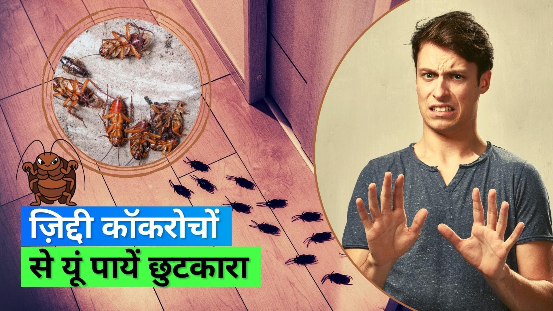 गंदे कॉकरोचों ने घर में मचाया है कोहराम, इस आसान तरीके से आप पा सकते हैं इनसे हमेशा के लिए छुटकारा