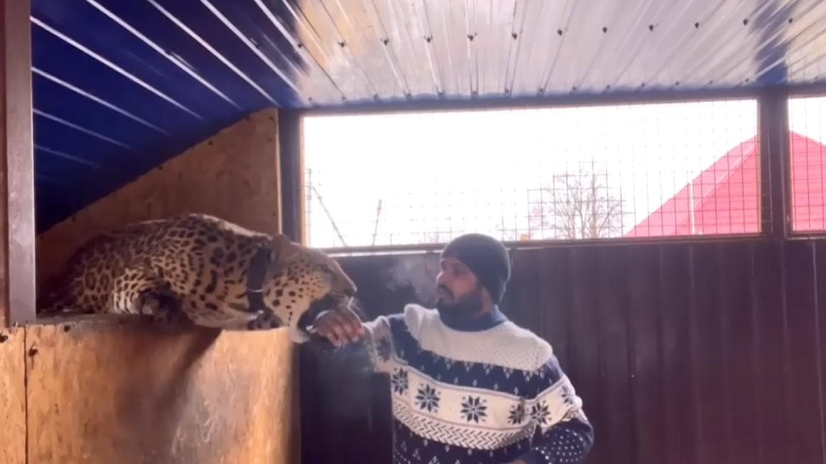 Ukraine Russia war: stranded Indian doctor refuses to leave sans pet jaguar and panther