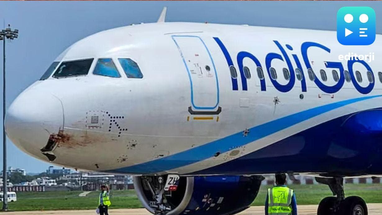 IndiGo flight from Patna to Ranchi lands safely after a bird strike