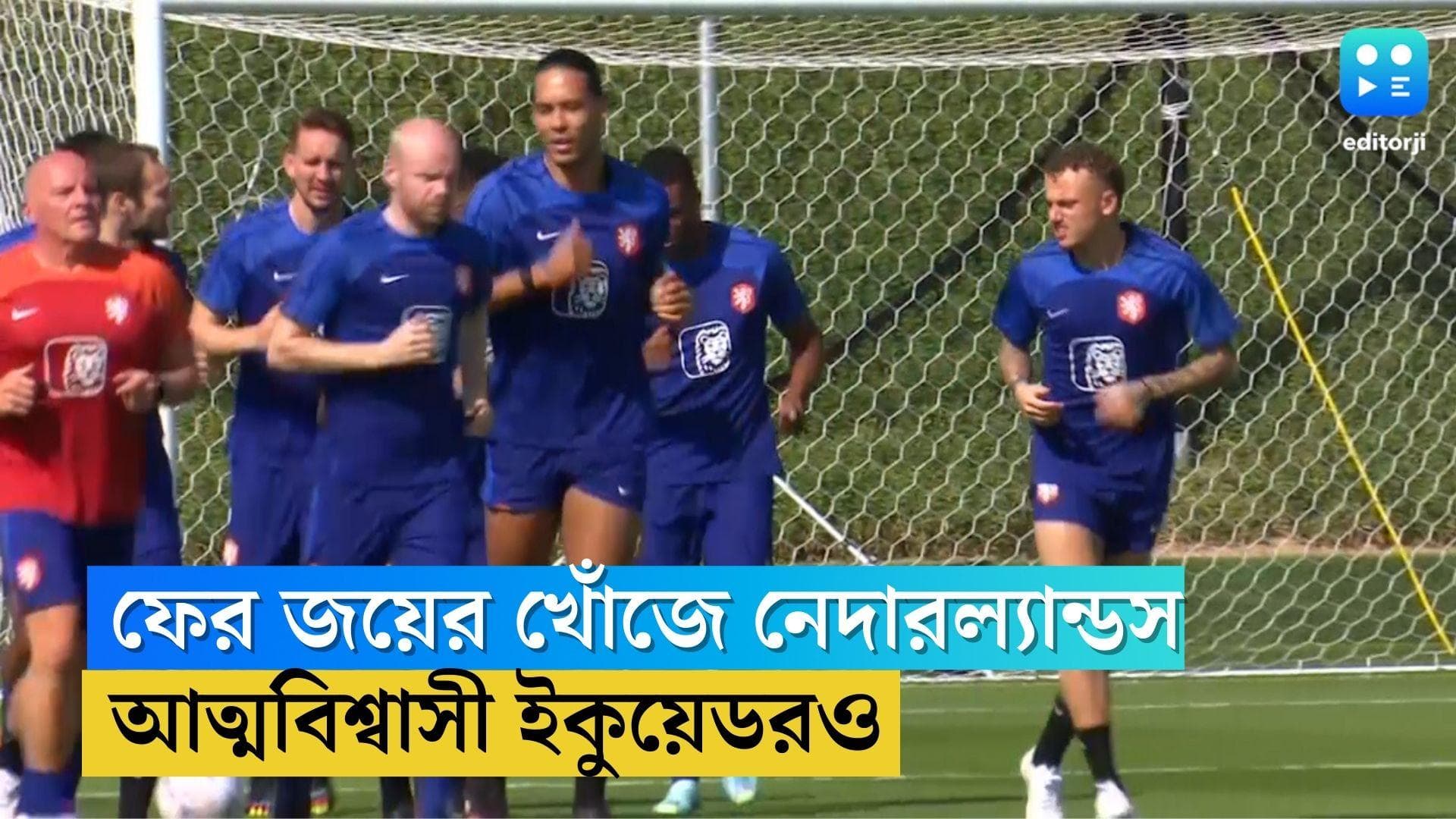 Netherlands to Face Ecuador: শুক্রবার ফের নামছে নেদারল্যান্ডস, প্রথম ম্যাচে জিতে আত্মবিশ্বাসী ইকুয়েডরও