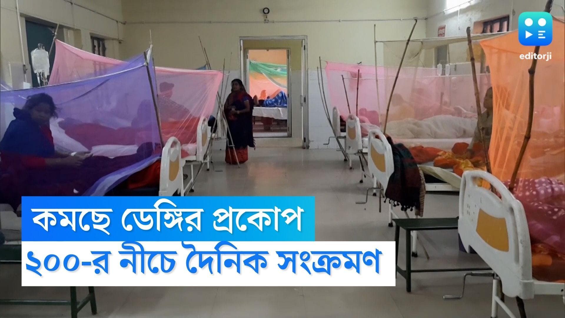 Dengue in Bengal : ডেঙ্গি আক্রান্তের সংখ্যা কমছে ধীরে, দৈনিক সংক্রমণ কমে ১২৪ 