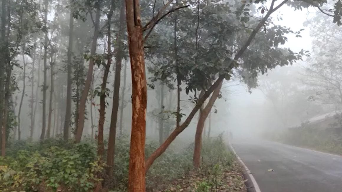 Bengal Weather: বাংলায় স্লগওভারে শীত যেন শারজার সচিন ! স্বাভাবিকের থেকে তাপমাত্রার বিরাট পতন
