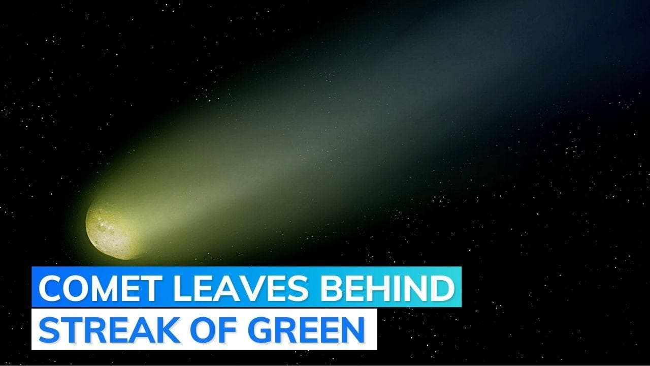 Watch: rare 'green comet' makes first appearance in 50,000 years