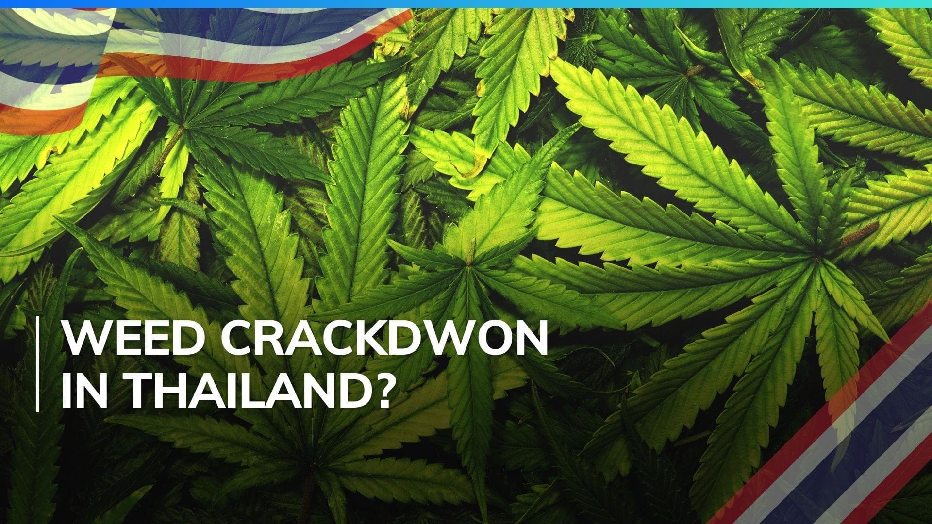 Thailand to ban recreational use of marijuana 