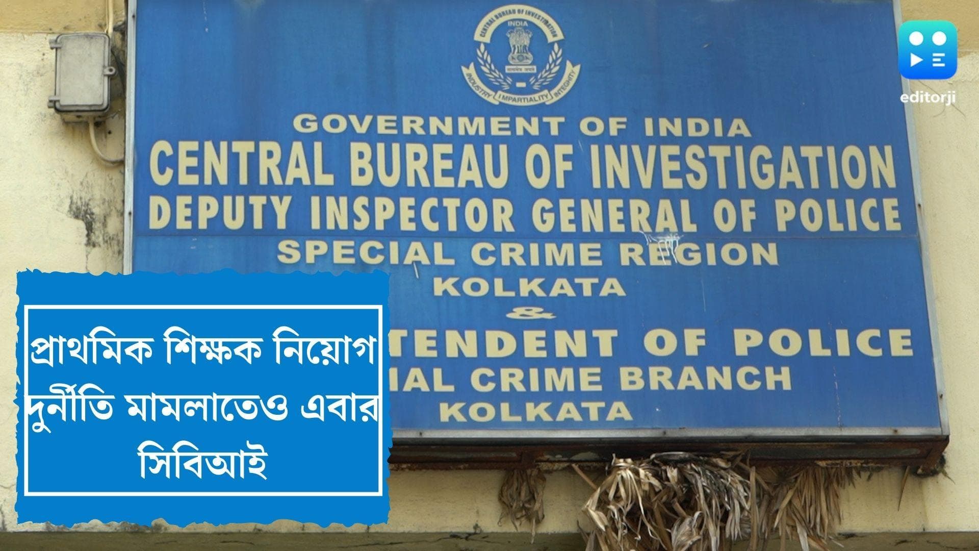 CBI probe in Primary Tet exam case : প্রাথমিকে শিক্ষক নিয়োগ মামলাতেও সিবিআই, নির্দেশ কলকাতা হাইকোর্টের