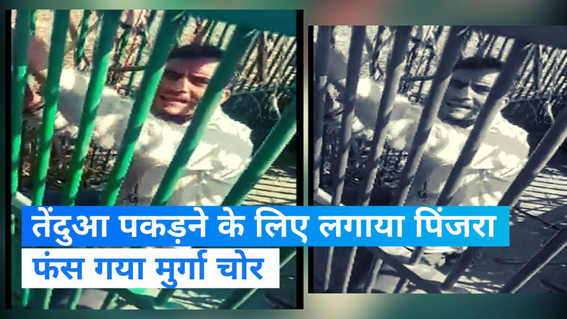 Bulandshahr News: तेंदुआ पकड़ने के लिए लगाया पिंजड़ा, फंस गया मुर्गा चोर... Video हो रहा वायरल