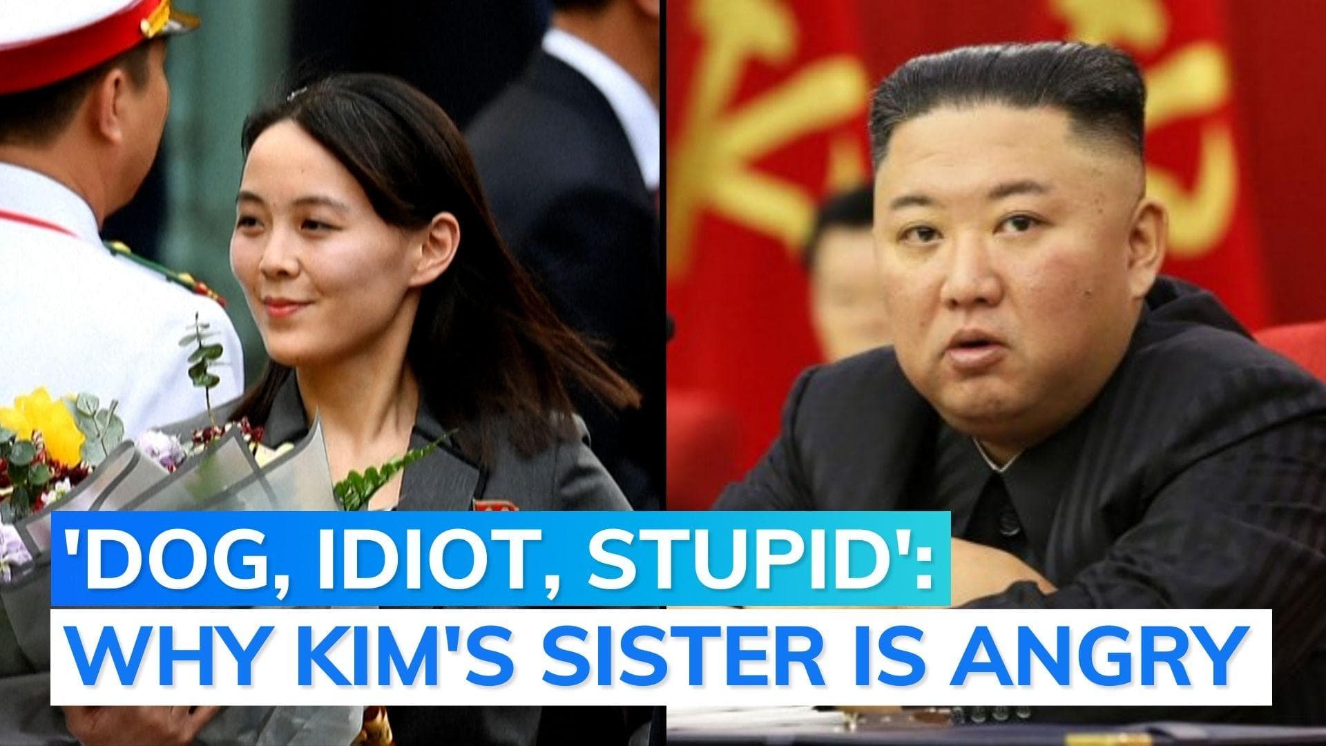 'Like wild dog gnawing on bone': Kim Jong Un's sister attacks South Korea over sanctions plan