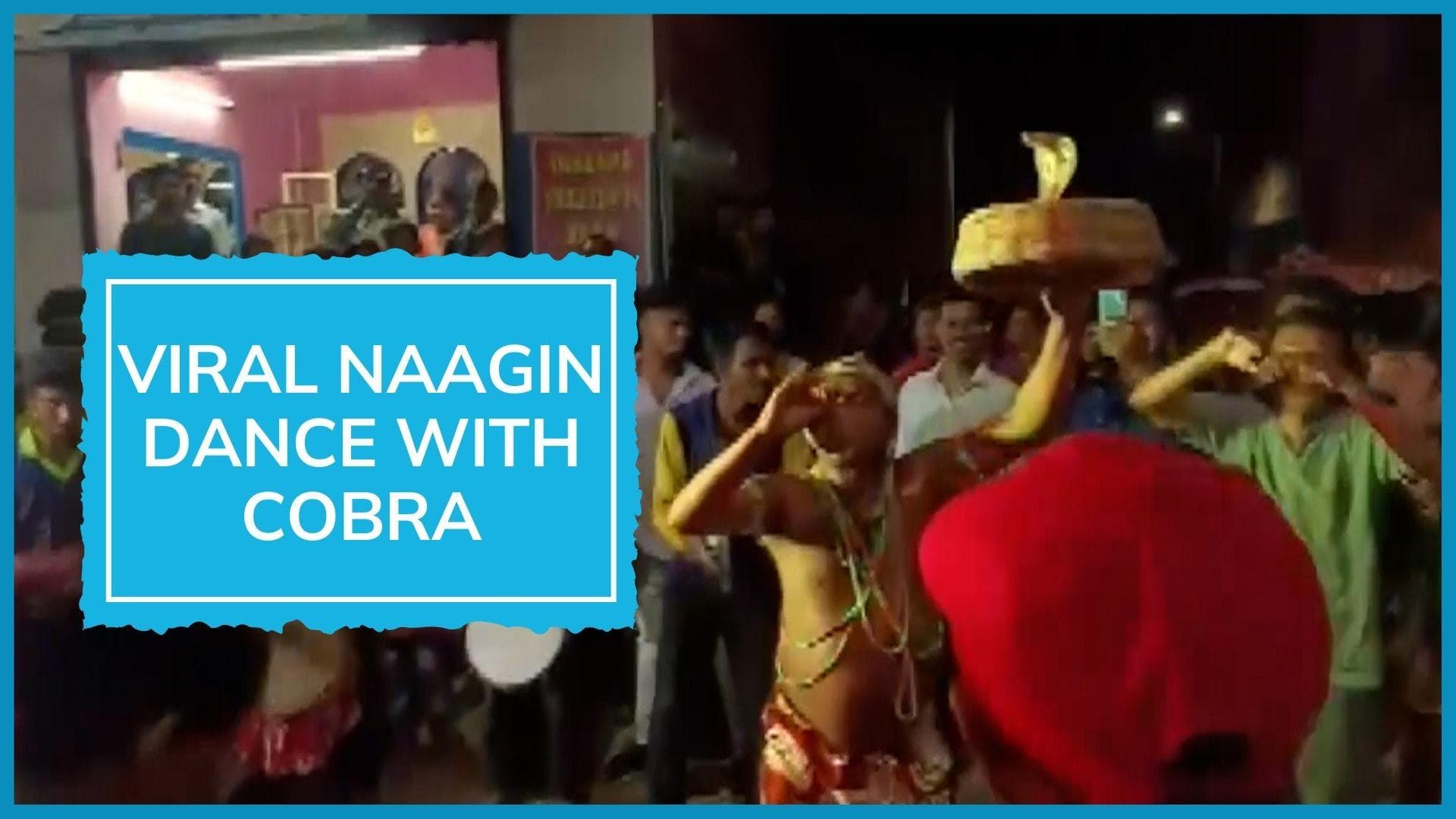 Watch | 'Naagin dance' with cobra lands five in police custody in Odisha