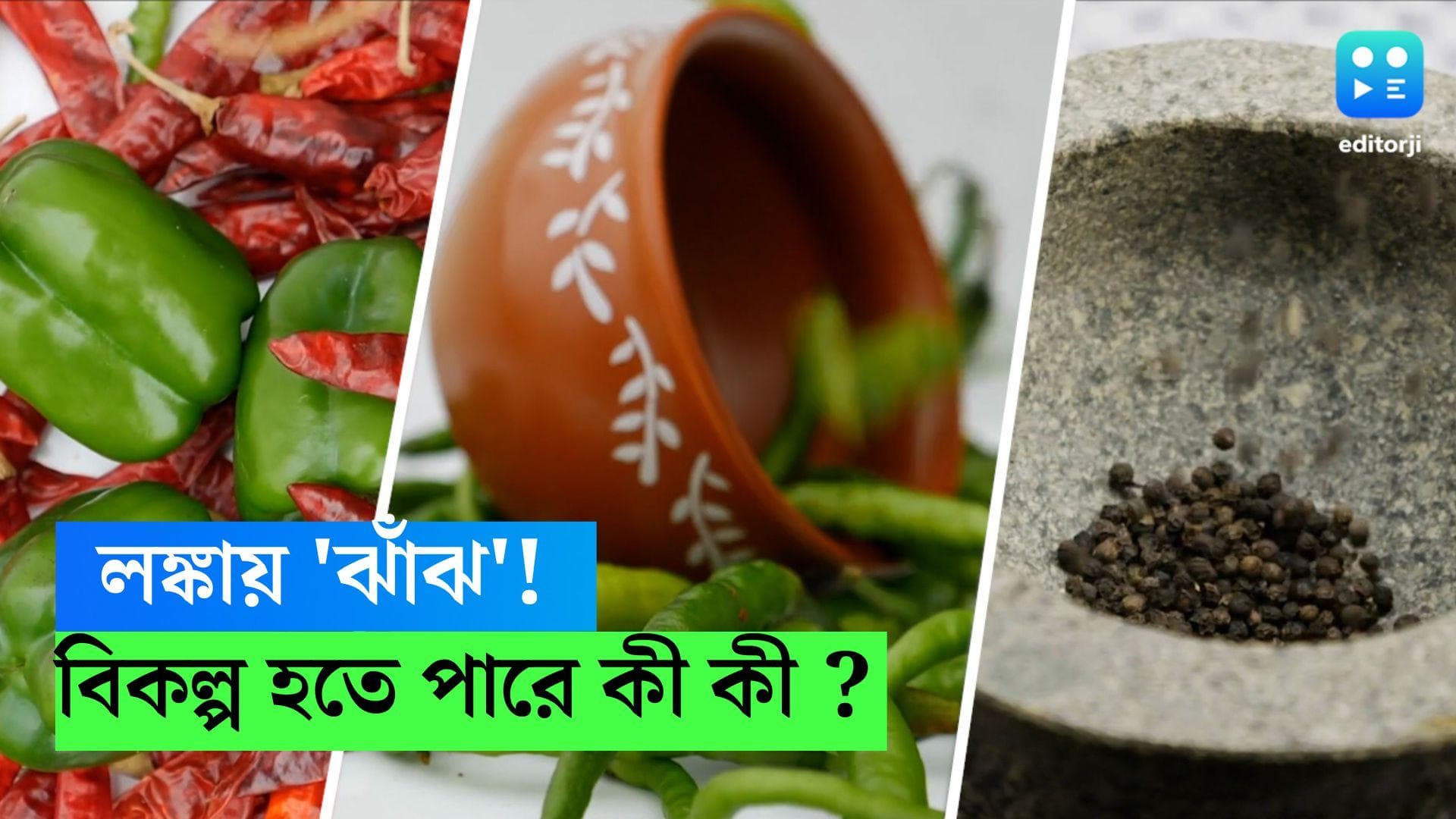 Green Chilli Alternative: লঙ্কার দামের ঝাঁঝে হাত পুড়ছে বাঙালির, রান্নায় ঝাল বাড়াতে বিকল্প কী কী হতে পারে?