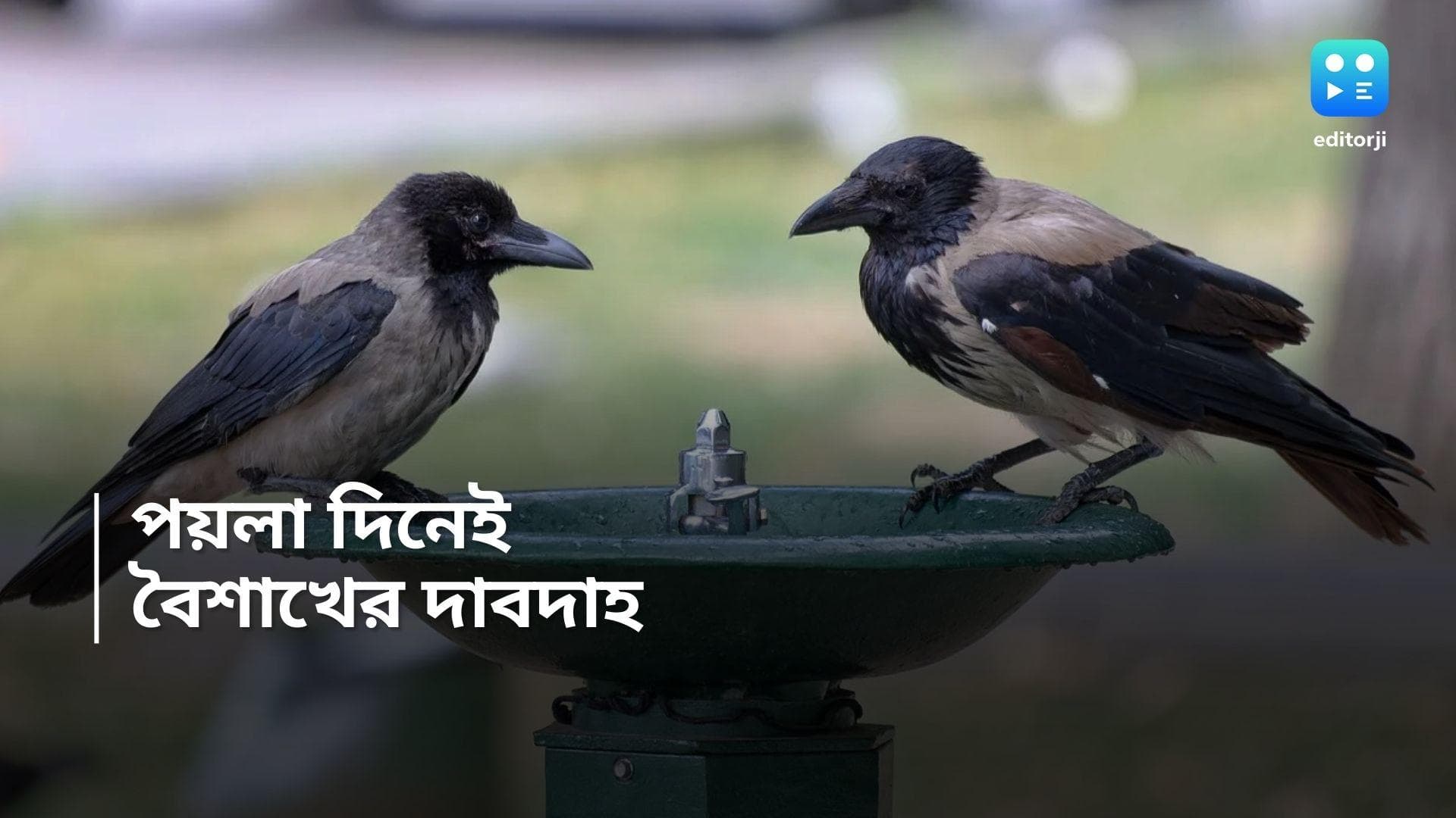 West Bengal Weather Update: পয়লা দিনেই বৈশাখের তাপ, নতুন জামায় ঘেমে নেয়ে কাটবে নববর্ষ 