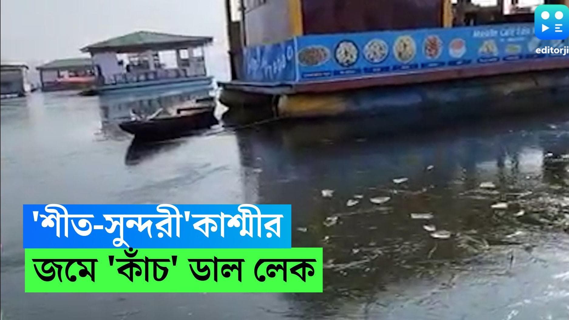 Frozen Dal Lake: ডাল লেক জমে বরফ, কাঁচের মতো চাঙর, দেখুন 'শীত সুন্দরী' কাশ্মীরের দৃশ্য