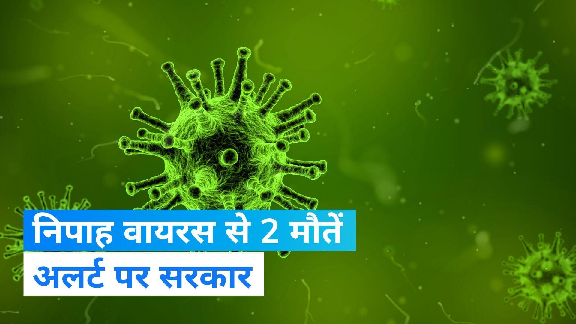 Nipah Virus: केरल में हुई है दो लोगों की मौत, जानिए क्या है निपाह वायरस?