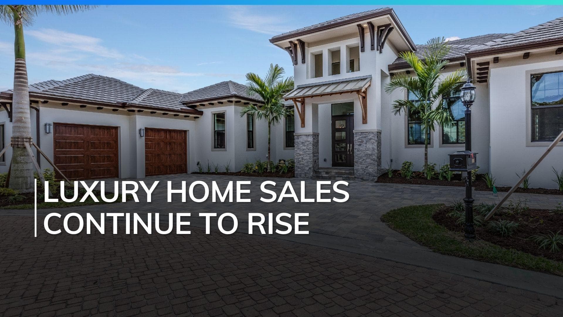 Luxury Housing Booms, Affordable Segment Struggles in 2024