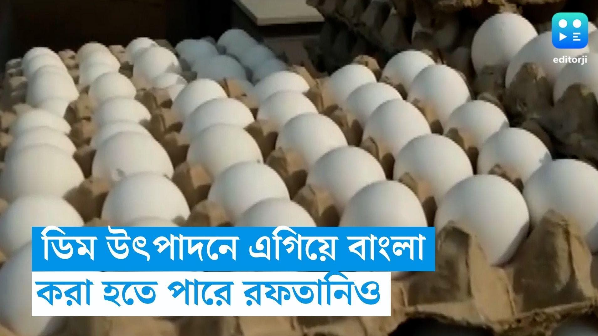 Egg Manufacture:  ডিম উৎপাদনে এগিয়ে বাংলা, এমনকি ভিন রাজ্যে রফতানির কথা ভাবছে রাজ্য