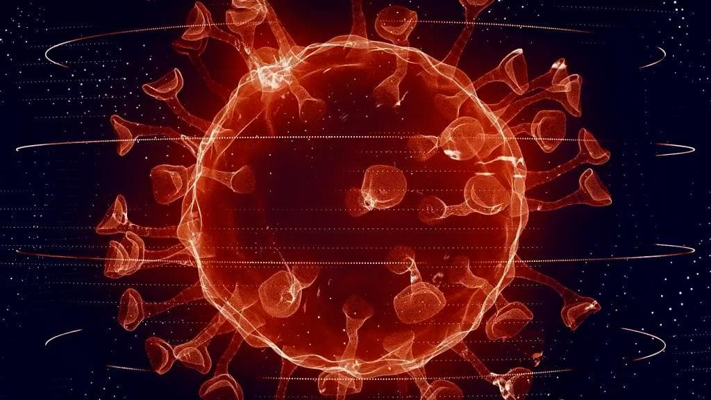 WHO: সুনামির মতো আছড়ে পড়তে পারে ওমিক্রন এবং ডেল্টা সংক্রমণ, সতর্ক করল বিশ্ব স্বাস্থ্য সংস্থা