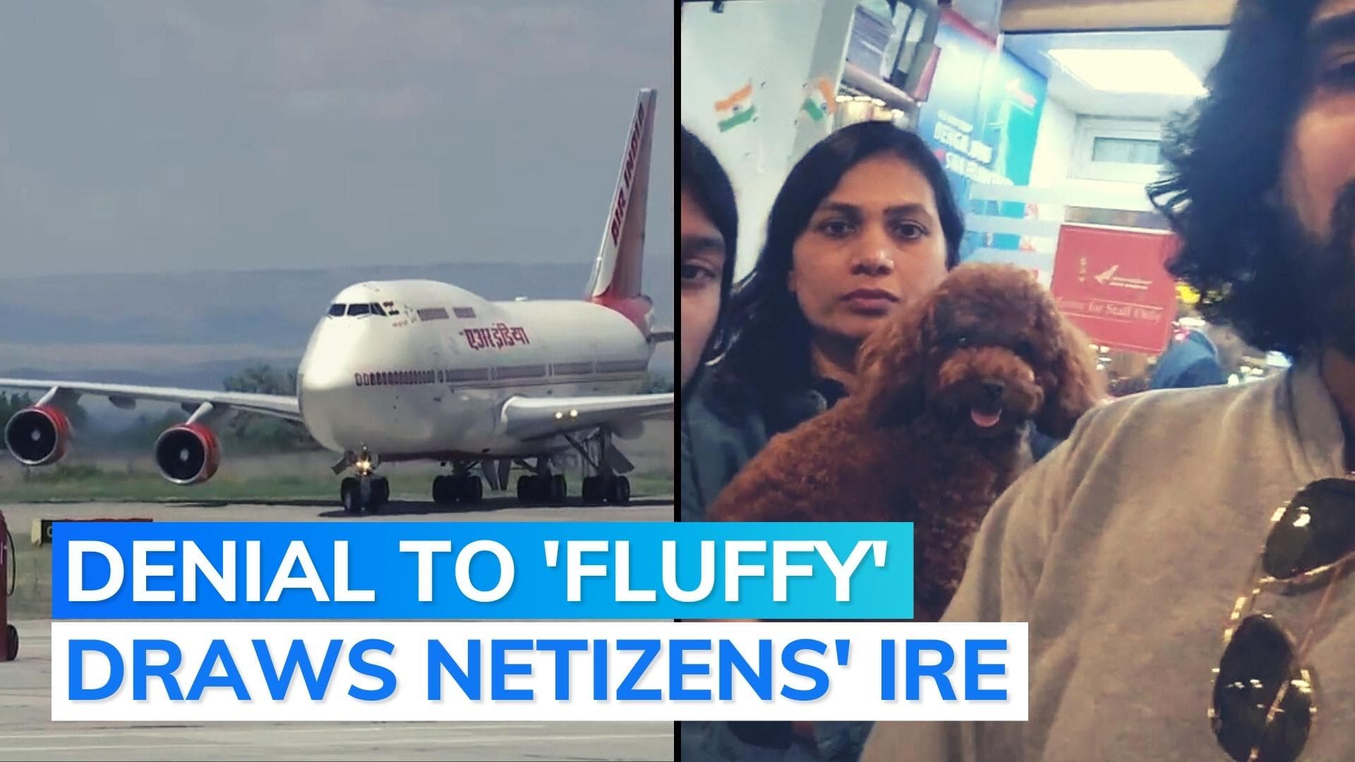 Bengaluru family alleges pet not allowed to fly, Air India responds