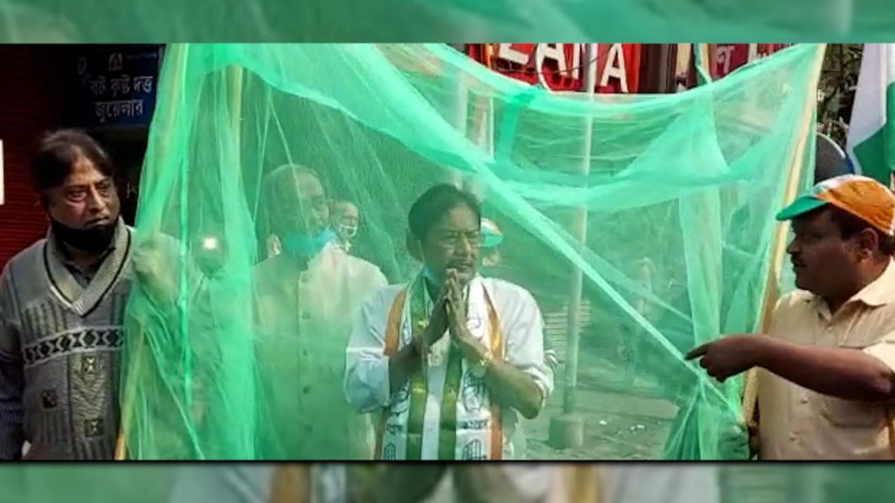 Mosquito Net on Election Campaign: কলকাতা পুরভোটে মশারি নিয়ে প্রচার সারলেন কংগ্রেস প্রার্থী