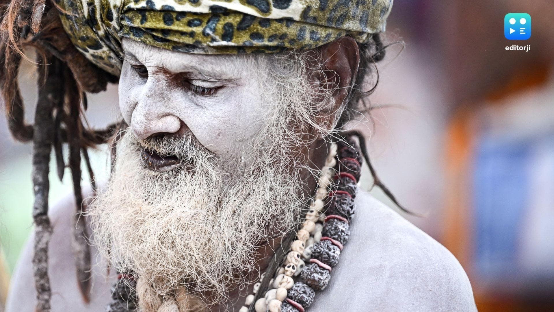 Maha Kumbh 2025: A sacred convergence of faith and tradition