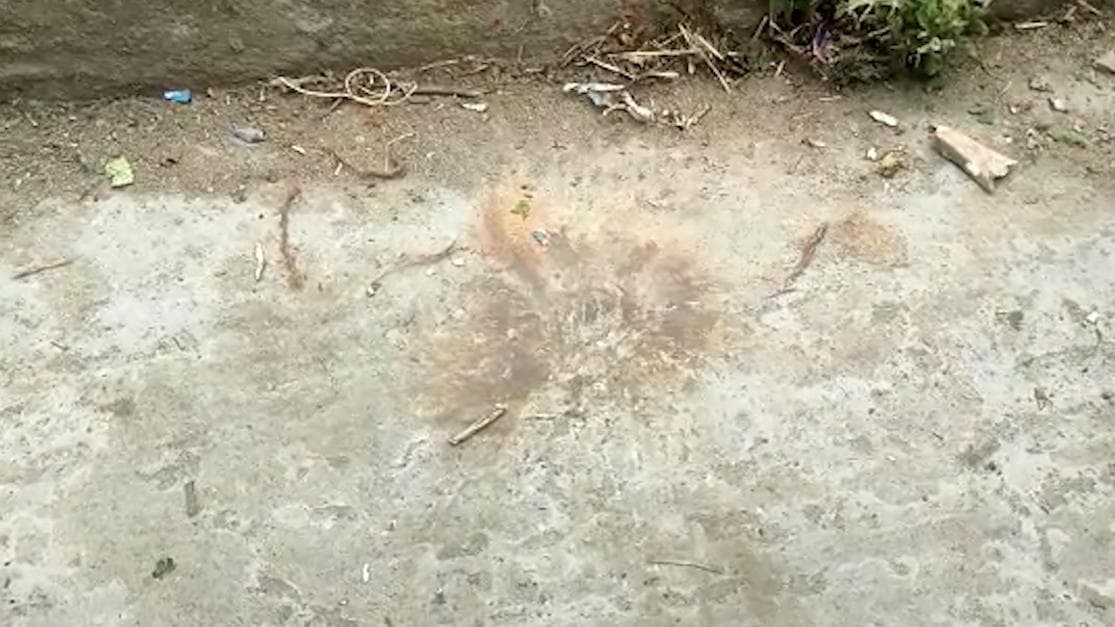 West Bengal Municipal Election: বুথের বাইরে বোমা পড়ল জঙ্গিপুরে! তৃণমূলের বিরুদ্ধে অভিযোগ কংগ্রেসের