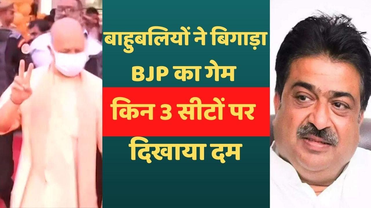 UP MLC Election Result: बीजेपी को जिन 3 सीटों पर मिली हार, वहां इन बाहुबलियों ने दिखाया दम