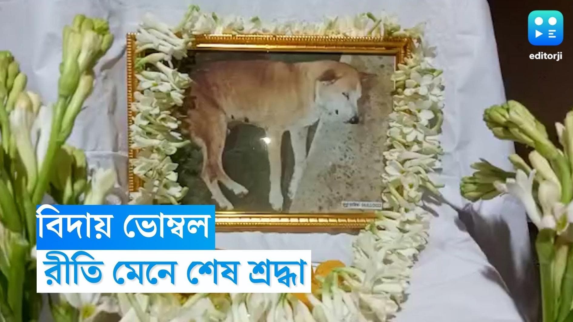 Maslandapur News: ভোম্বলকে শেষ বিদায়, আমন্ত্রিত ছিলেন ৫০০ জন অতিথি