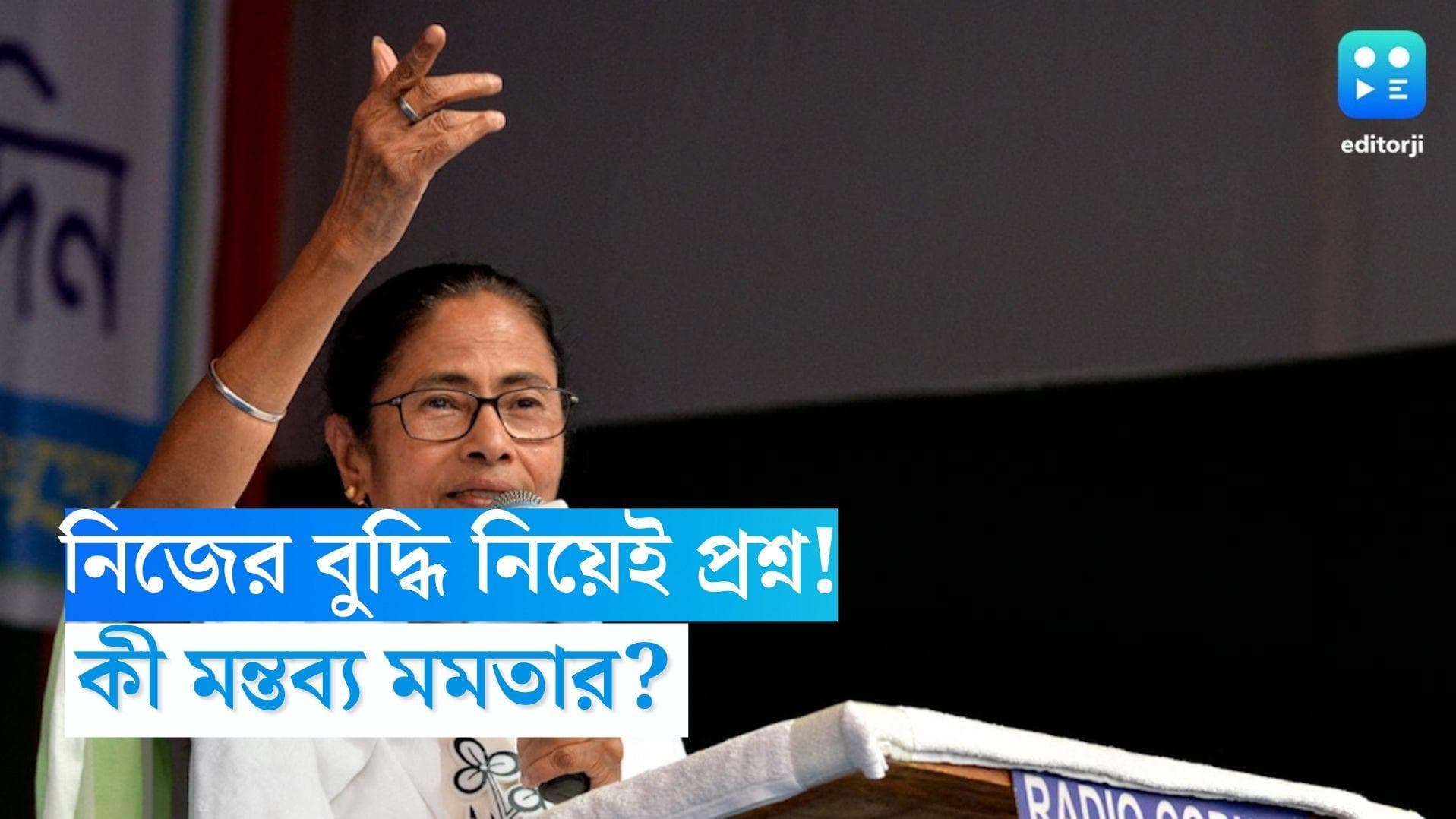 Mamata Banerjee: 'আমাকে পলিটিক্যাল গবেট ভাবতেই পারেন', মমতার মন্তব্যে জল্পনা