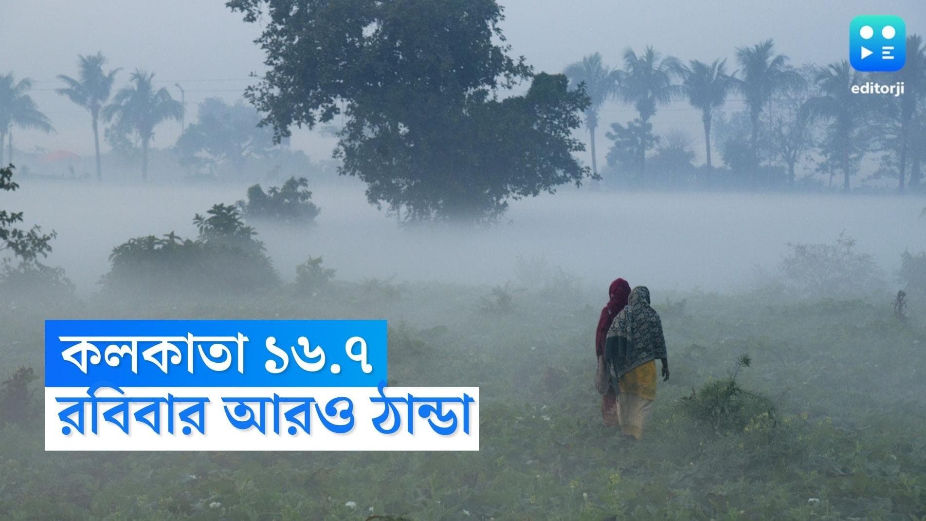 West Bengal Weather Update : শনিবার আরও নামল পারদ, সপ্তাহ শেষে জাঁকিয়ে শীত রাজ্যে