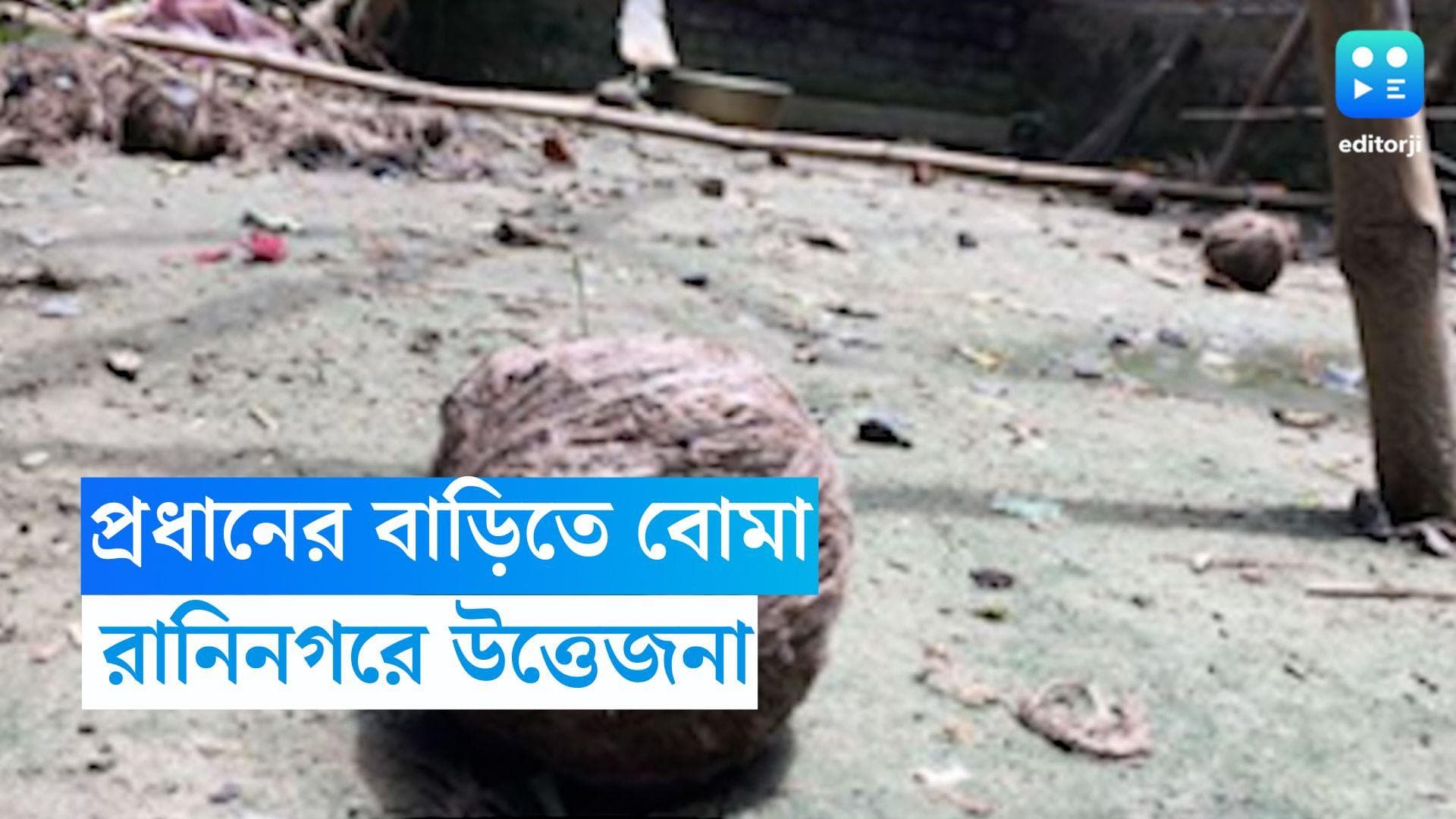 Murshidabad News: তৃণমূল প্রধানের বাড়ি লক্ষ্য করে বোমা, অভিযোগ শ্বশুরের বিরুদ্ধে