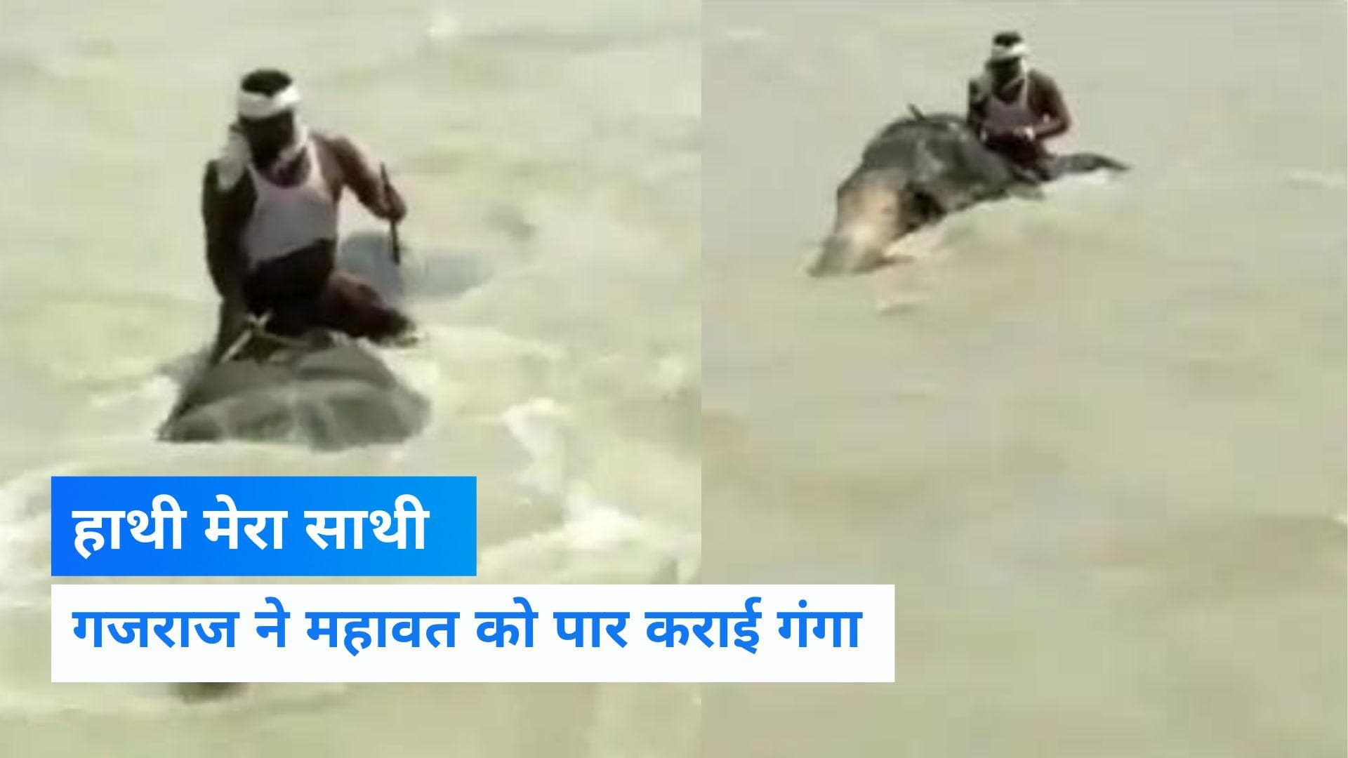 Bihar- खतरनाक लहरों के बीच हाथी ने दिखाई वफादारी, गंगा की उफनती लहरों से बचा लाया अपना महावत, देखें VIDEO