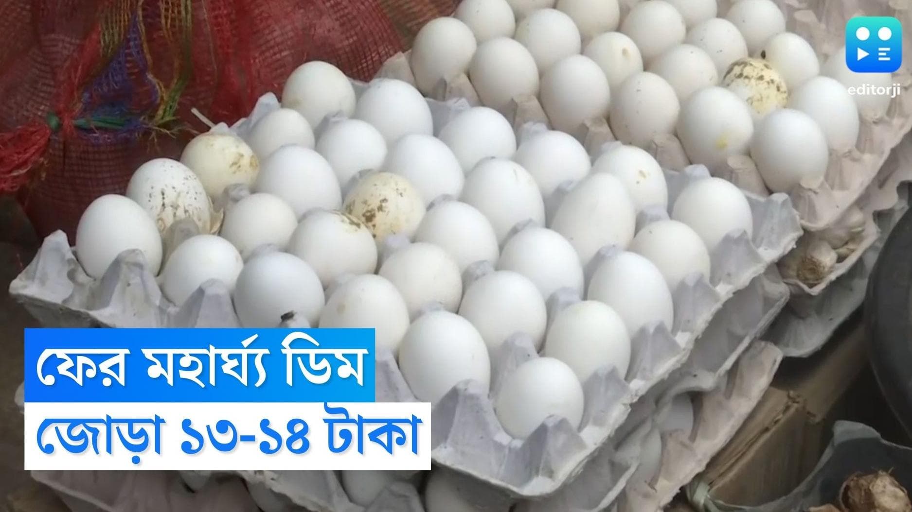 Egg Price Hike: বড়দিনের আগেই ফের মহার্ঘ্য মুরগির ডিম, কী খাবেন তাঁরা? চিন্তায় ঘুম উড়েছে মধ্যবিত্তের