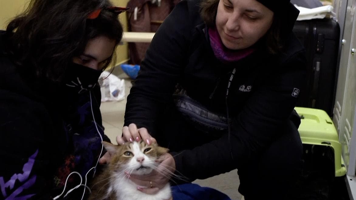 Ukraine Crisis: প্রাণ গেলেও প্রিয় পোষ্যদের ছাড়তে রাজি নন মরিয়া ইউক্রেনবাসী