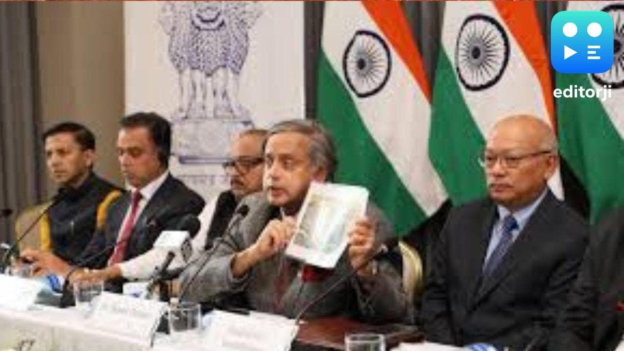 BJP MP Ravi Shankar Prasad raises terrorism concerns in EU