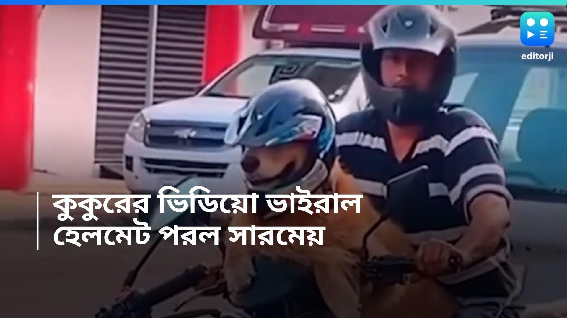 Dog wearing helmet: বাইকে উঠে হেলমেট পরল কুকুর, আপ্লুত নেটিজেনরা, দেখুন সেই ভিডিয়ো