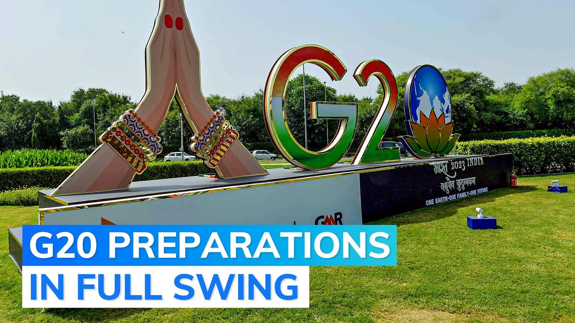 G20 Summit: 6.75 lakh pots of flowering plants, foliage to adorn Delhi roads