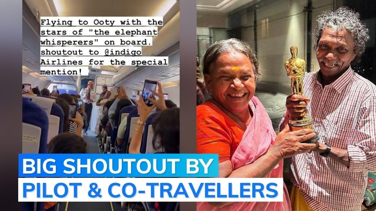 Watch: 'Elephant Whisperers' Bomman and Bellie greeted with applause on Indigo flight