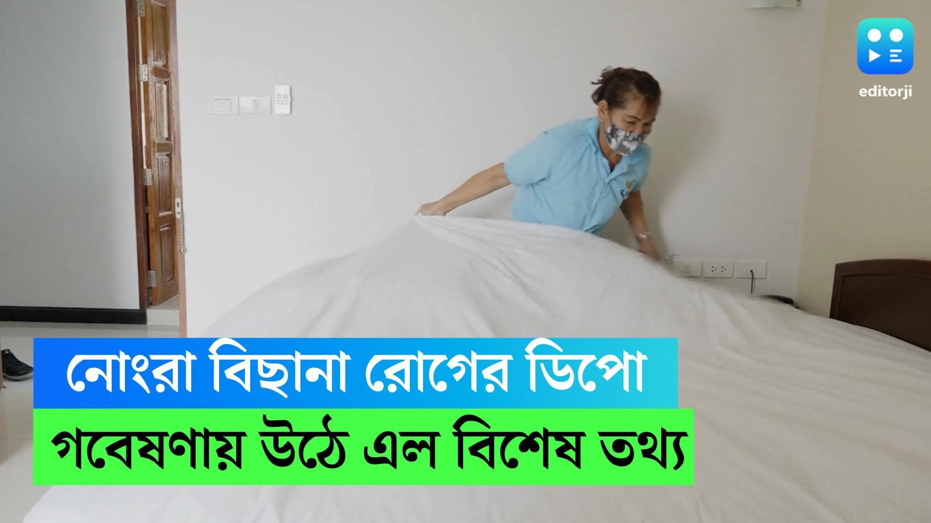 Bed Sheets : বিছানার চাদর কতদিন অন্তর বদলান ? নোংরা চাদর থেকে হতে পারে মারাত্মক রোগ 